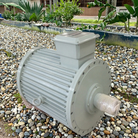 Générateurs éoliens de sortie d'usine, petits générateurs hydroélectriques à force hydraulique, générateurs hydroélectriques CC/CA sans balais