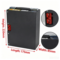 Batterie lithium 48V pour chariot élévateur CBD20-WS-D, chariot élévateur électrique robuste, transpalette électrique pour le transport de matériaux