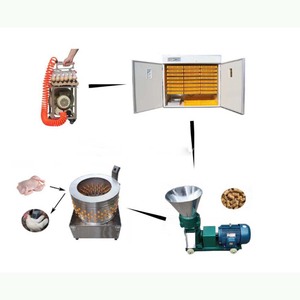 Factory Direct Sale Multifunctional Chicken <b>Egg</b> Incubator Large Chicken Incubator for Wholesales - Product Image 2