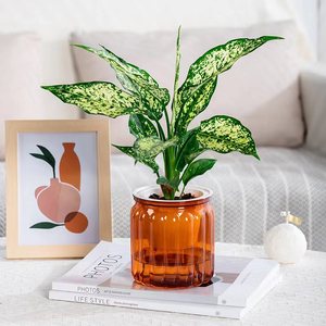 P437 Pot de fleurs hydroponique créatif en plastique transparent pour plantes vertes, idéal pour la maison et <span class=keywords><strong>le</strong></span> jardin, auto-arrosant pour personne pressée - Product Image 3
