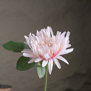 ดอกเบญจมาศประดิษฐ์ CallaFloral ก้านเดี่ยว สีชมพู สมจริง เหมาะสำหรับตกแต่งงานแต่งงานและตกแต่งบ้าน - Product Image 3