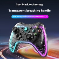 Manette de jeu sans fil transparente BT avec éclairage RGB, volant de jeu pour Switch Pro, Android TV Box - Double