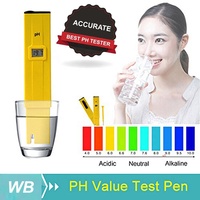 Étalonnage manuel de haute précision personnalisé prix d'usine testeur de type stylo ph testeur de PH numérique étanche à l'eau testeur de PH avec ATC