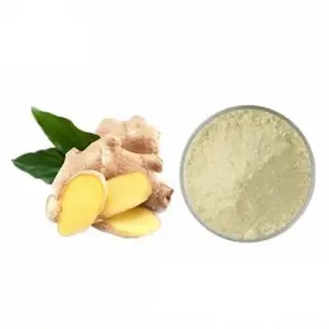 Dried Ginger Powder Zingiber Officinale Extract Gingerol CAS 84696-15-1