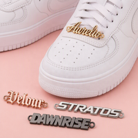 Étiquettes métalliques enduites avec motif en relief et trous pour rivets pour chaussures, sacs et vêtements écologiques - Résistantes à la décoloration