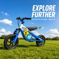 Moto tout-terrain électrique pour enfants, disponible en OEM, 12 pouces, 36V, en alliage d'aluminium, suspension avant, frein hydraulique, 50kg, style course, vente en gros