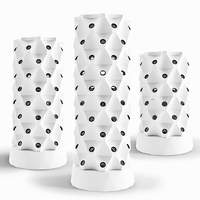 Système hydroponique vertical Grow Tower pour la culture d'ananas