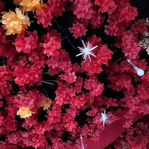 Luzes Decorativas de Cortina LED em Forma de Estrela para Casamentos, Luzes de Teto LED com 10 Pontas - Product Image 2