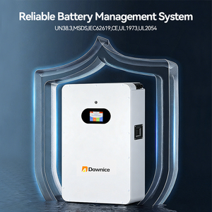 Dawnice POWER 10KW 48V LiFePo4 Battery Pack 51.2v 300Ah 314Ah 200AH Home Power <b>Wall</b>-Mounted 10Kwh 15Kwh Lithium Ion Battery - Product Image 5