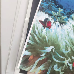 A4 Glossy Luminous Photo <b>Paper</b> with Adhesive Glue for Inkjet Printing - Product Image 1
