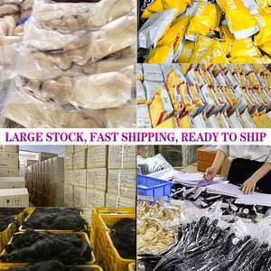 Parrucca anteriore in pizzo a riccia corta HD in pizzo trasparente Bob <span class=keywords><strong>capelli</strong></span> mossi parrucca, <span class=keywords><strong>capelli</strong></span> brasiliani parrucche con <span class=keywords><strong>capelli</strong></span> da bambino per donne ogni giorno - Product Image 6