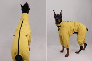 Qiqu-cortavientos con hebilla de <span class=keywords><strong>Doberman</strong></span> para mascotas, <span class=keywords><strong>ropa</strong></span> de invierno cálida para perros - Product Image 3