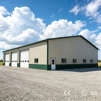 Venta Caliente: Fabricante de Estructuras de Acero Prefabricadas, Almacenes de Estructura de Acero para Uso Industrial al por Mayor