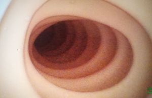 Colonscopio modello di allenamento per endoscopio digestivo 02 <span class=keywords><strong>Video</strong></span> colonscope - Product Image 4