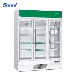 Refrigeradores Exhibidores con Puerta de Vidrio Transparente para Supermercados, Modelo DSS-268AP - Product Image 6