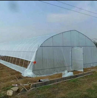 Système d'agriculture verticale hydroponique Smart Farm Grow, petite ferme en conteneur maritime, serre recouverte de film PE, structure stable