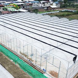 Grande serre agricole commerciale à faible coût, facile à installer, complète, pour semis de tomates, structure de serre multi-voûtes - Product Image 2