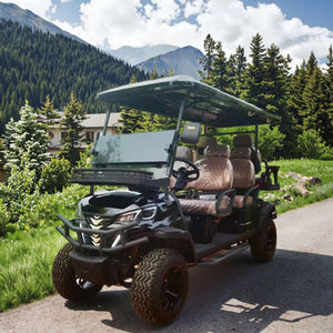 Voiturette de golf électrique 6 places pour la chasse sur route, avec batterie au lithium, pour terrains non publics - Product Image 1