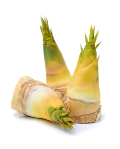 El <span class=keywords><strong>precio</strong></span> competitivo pieza entera fresca <span class=keywords><strong>de</strong></span> <span class=keywords><strong>brotes</strong></span> <span class=keywords><strong>de</strong></span> bambú <span class=keywords><strong>de</strong></span> invierno <span class=keywords><strong>de</strong></span> China para la promoción del mercado <span class=keywords><strong>de</strong></span> Japón - Product Image 3