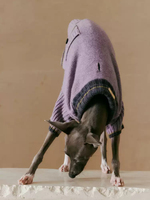 Pull pour chien personnalisé en laine mérinos, vêtements pour chien pour un cadeau mémorable, pull pour chien tricoté