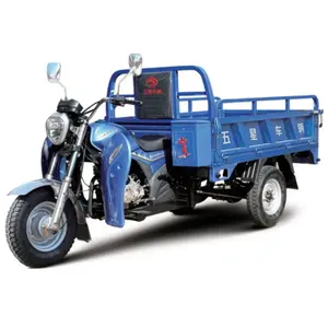 130cc Air-Cooling Cargo Tricycle Wheels Motorcycle Fuel Oil Gasoline Motor Fuel Powered Vehicles Tricycle for Farm