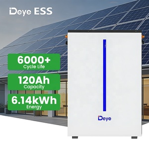 Batterie lithium LiFePO4 Deye 6,14 kWh 51,2 V à montage mural, cycle profond, max. 32 unités en parallèle pour système solaire domestique - Product Image 1