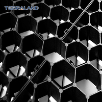 Grille de pavage en plastique HDPE pour renforcement du gazon, idéale pour les parkings