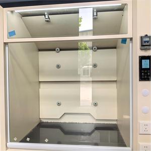 Cappa Chimica da <span class=keywords><strong>Laboratorio</strong></span> di Alta Qualità <span class=keywords><strong>con</strong></span> Armadio per Laboratori di Chimica e Biologia - Product Image 6