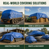 Chine personnalisé 20x30 30x50 40x60 20x20 15x15 10x10 bâche imperméable robuste en pe bâche