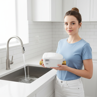 Compteur de débit d'eau à ultrasons MAINONE OEM en laiton IP68 15 mm RS485/M-BUS/LORA/LORAWAN/Pulse