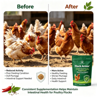 Poudre vermifuge naturelle OEM spéciale au capsicum pour volailles, soulagement rapide des parasites intestinaux chez les poulets