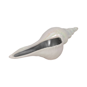 Scultura Decorativa a Forma di Conchiglia Marina, Statua Costiera per Soggiorno, Bagno, Ufficio, Arredamento Casa - Product Image 2
