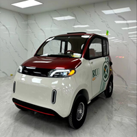Fournisseur d'usine, mini-voiture électrique à 2 portes sans permis de conduire, véhicule électrique à énergie nouvelle, voiture électrique à 4 roues, 1000W pour adultes