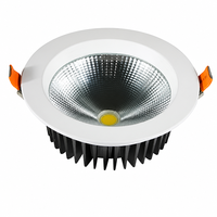 Système de Downlight LED Intelligent IP65 Tuya Zigbee DALI 2.0 Dimmable pour Hôtels, Bureaux et Projets, Compatible IES DIALux BIM, Support Global