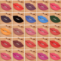 Rouge à Lèvres Mat Liquide Végétalien de Haute Qualité Longue Tenue Étiquette Privée Imperméable 43 Couleurs en Gros