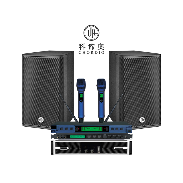 CHORDIO KD12S KTV Karaoke System Professional Line Array Dj Speakers Audio Indoor pa Sound System for Stage Performance