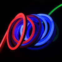 Bande LED néon flexible RGB adressable 12V étanche IP67 en silicone noir avec Wi-Fi / Longueur personnalisée USB