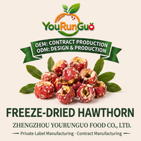 Premium FD Gefreeze-droogde Hawthorn Bessen Natuurlijke Zoete Fruitsnack Groothandel OEM Private Label