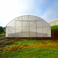 Film plastique agricole pour serres, prix d'usine, 200 microns