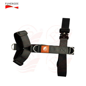 Custom Huisdier Harnas Vest Ademend Met Gepersonaliseerde Kenmerken Massief Xs Tot Groot Voor Katten En Honden - Product Image 2