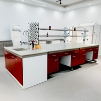 Meubles de laboratoire sur mesure de conception traditionnelle pour les écoles, les hôpitaux, les instituts de recherche, bancs de laboratoire en acier inoxydable