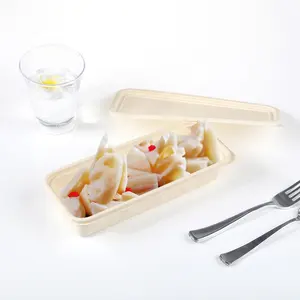耐热可生物降解的三明治沙拉带走午餐盒bento