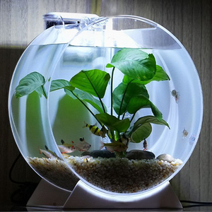 Aksesoris Akuarium Multi-ukuran Kreatif untuk Rumah atau Kantor, Meja atau Rak, Akuarium Bulat Akrilik - Product Image 4