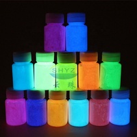 Peinture phosphorescente qui brille dans le noir, pigment de couleur phosphorescent pour la poudre d'art des ongles et l'encre céramique pour des designs créatifs