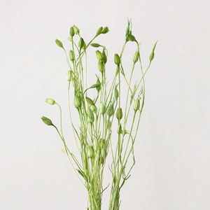 Carillon à vent naturel en forme de fleur et de fruit, artisanat, assorti d'un arrangement floral en bouteille flottante en herbe - Product Image 5