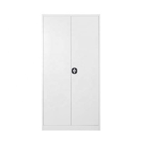 Vente en gros de meubles de bureau d'usine armoire de rangement moderne à 2 portes en métal pour documents armoire de classement en acier pour la maison/le bureau/l'école