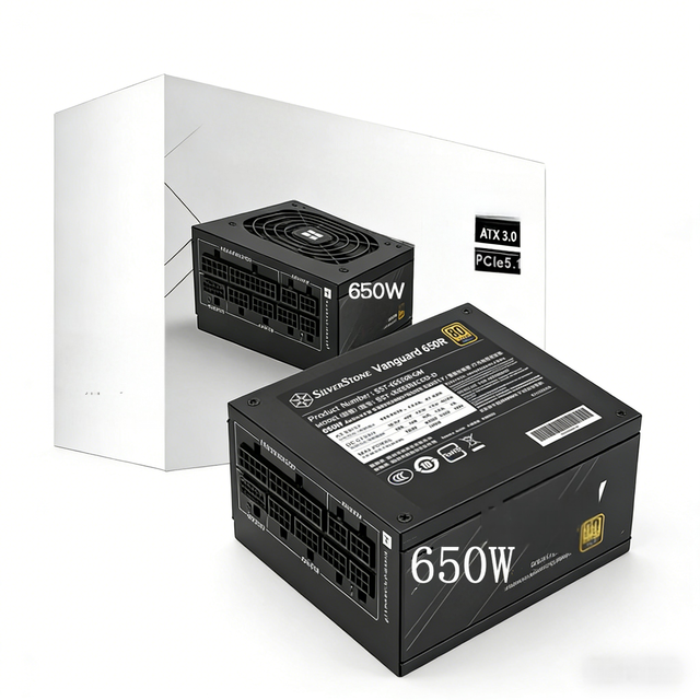 SliverStone VANGUARD VG650R-GM 650W Black Fully Modular ATX 3.1 20+4Pin Desktop Power Supply 80 PLUS Gold Stock