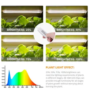 Lampe de croissance LED à spectre complet, 80nm/800nm, avec minuterie, pour tous les jours, activation et désactivation automatique, Qty 96 pièces