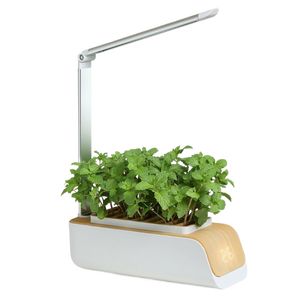 Jardinière intelligente de haute qualité LED Pot de fleur intelligent automatique Kits de culture hydroponique pour maison intérieure intelligente jardin intelligent - Product Image 2