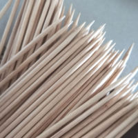Jetable BBQ Brochette En Bois